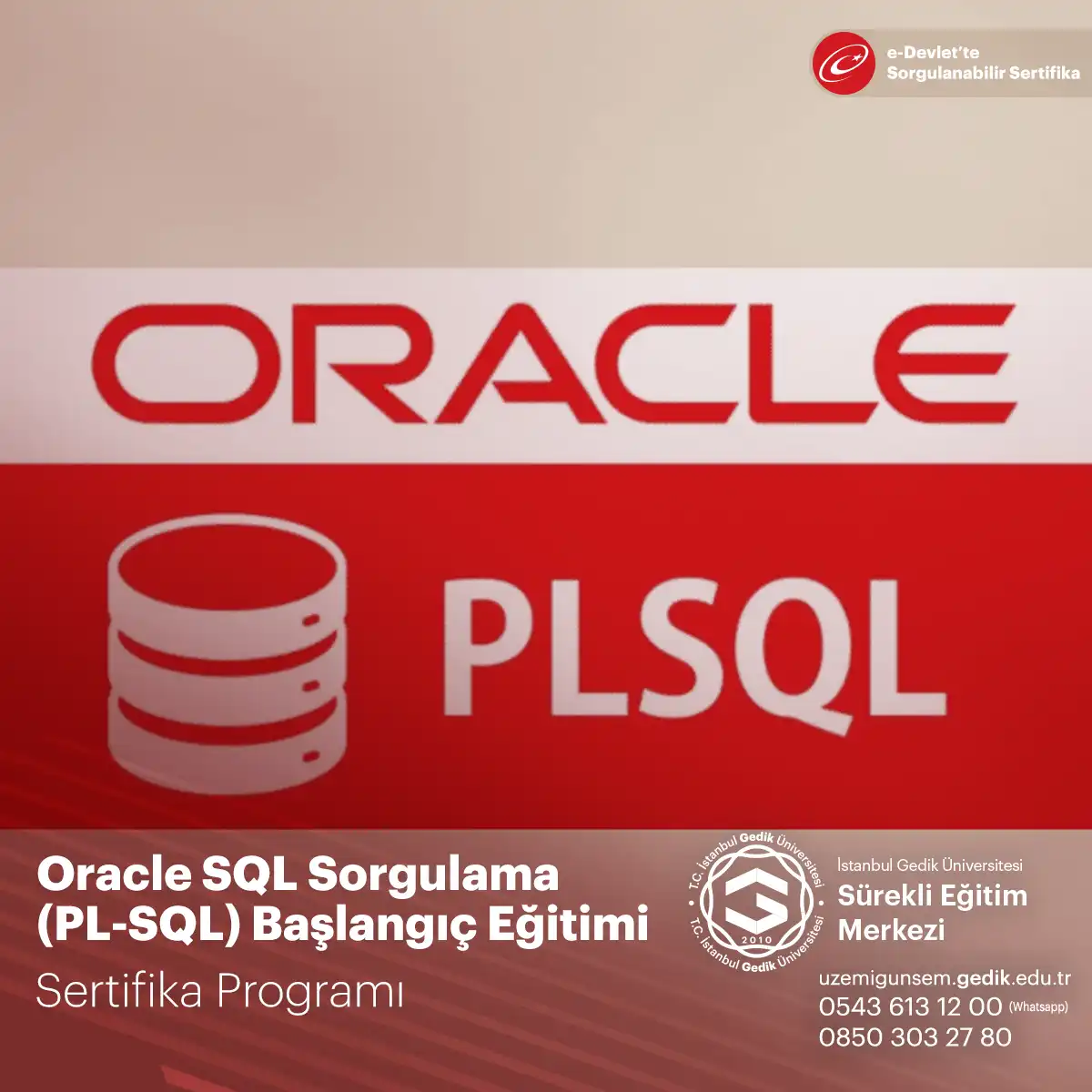 Oracle SQL Sorgulama (PL-SQL) Başlangıç Eğitimi Sertifika Programı